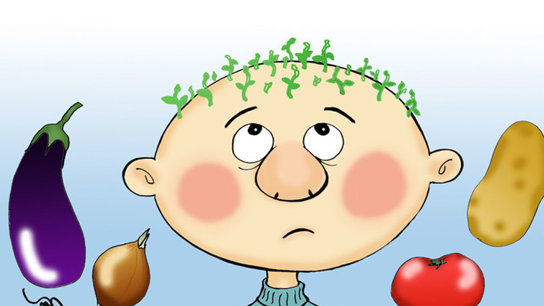 چى رووده‌دات ئه‌گه‌ر مرۆڤ به‌ يه‌كجارى واز له‌خواردنى گۆشت بهێنێت؟
