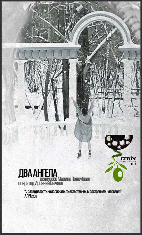 A collection of some film covers participated in Afrin Short Film Festival 2016