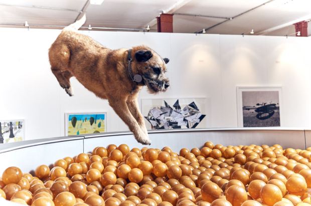ته‌نها 