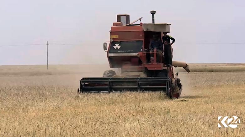 ئەمساڵ بەنرخێكی كەمتر گەنم لەجوتیاران وەردەگیرێت