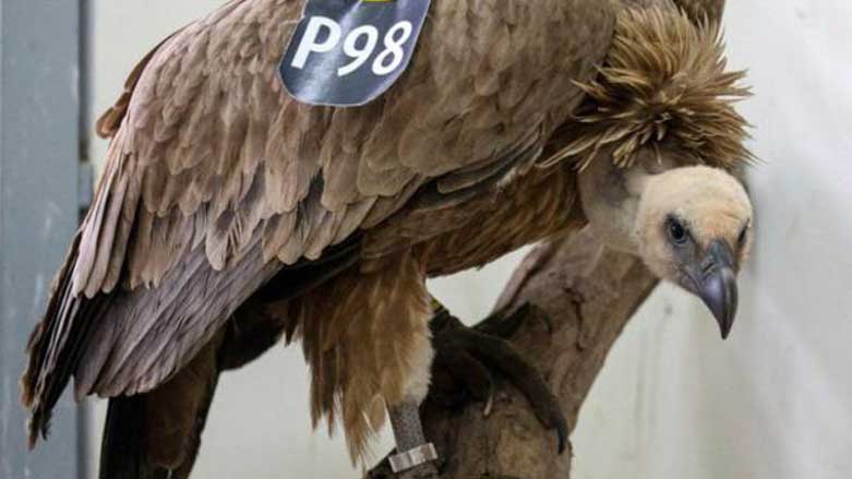 لوبنان بازێكی ئیسرائیل به‌‌ سیخوڕیكردن تۆمه‌تبار ده‌كات