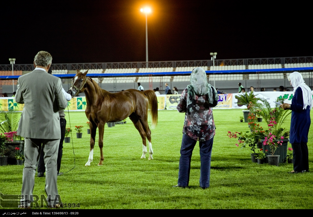 فێستیڤاڵی ئەسپی رەسەنی کوردیی له‌ كرماشان به‌ڕێوه‌چوو