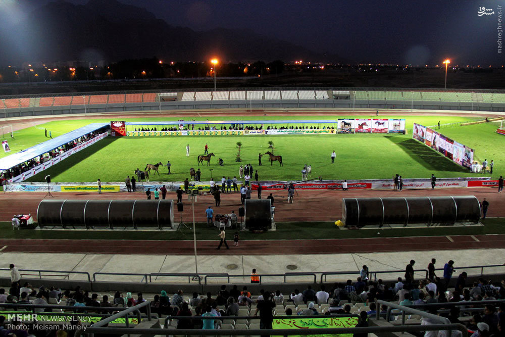 فێستیڤاڵی ئەسپی رەسەنی کوردیی له‌ كرماشان به‌ڕێوه‌چوو