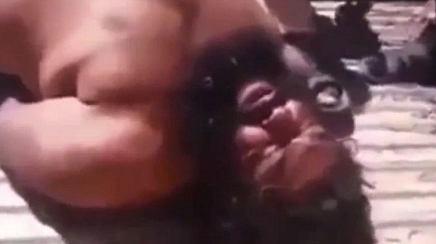 بلدۆزه‌ره‌كه‌ی داعش ده‌ستگیركرا