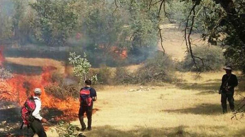 ئاگر دارستانه‌كانى رۆژهه‌ڵاتى كوردستان له‌ناو ده‌بات