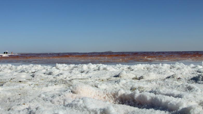 سێ هەزار چاڵاو لە دەوروبەری ده‌رياچه‌ى ورمێ پڕ دەکرێنەوە