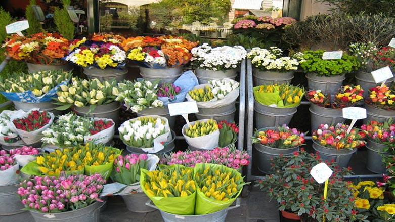 سنه‌ گوڵ بۆ هه‌رێمى كوردستان ده‌نێرێت