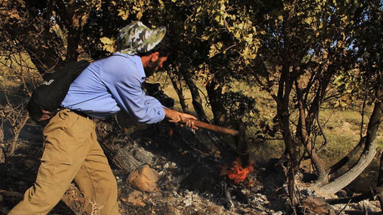 ده‌يان هێكتار دارستانى لورستان سووتا