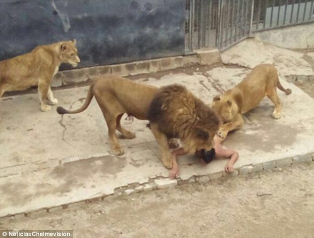 به‌ رێگایه‌كی جیاواز ویستی خۆی بكوژێت