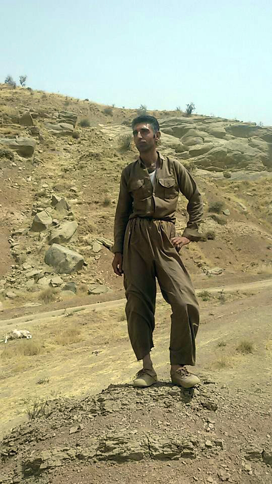 بە وێنە..لە شەقڵاوە گورگ 60 سەرمەڕ دەخنكێنێ
