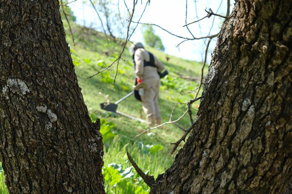له‌ ماوه‌ی 7 مانگدا 10 كەس به‌هۆی مین‌ بوونه‌ته‌ قوربانی