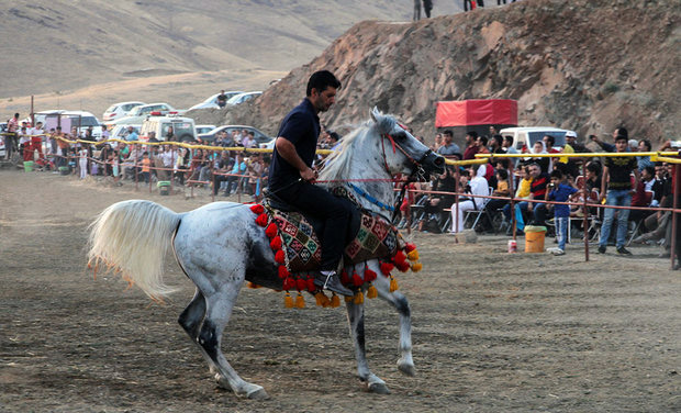 بە وێنە..فستیڤاڵی یاریی و سوارچاكی سنە