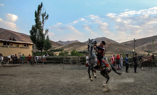 بە وێنە..فستیڤاڵی یاریی و سوارچاكی سنە