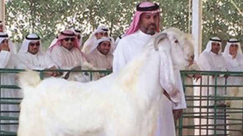 بزنێکی دەگمەن هێندە باڵای بەرزە خەڵکیی سەرسام کردووە