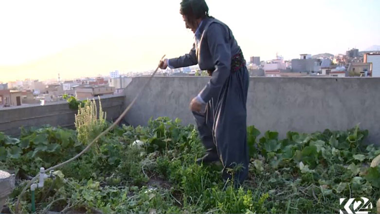 Serban a xanî kirîye bax û divêt wek gundî li bajar bijî