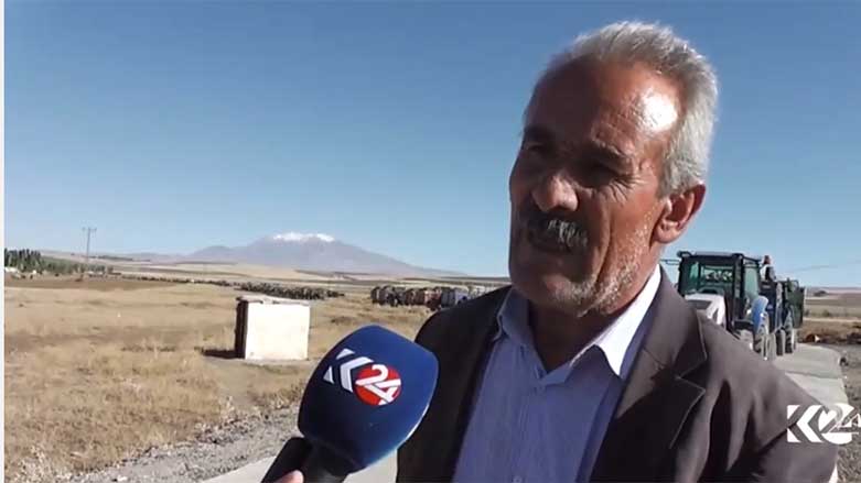 Werzê hilanîna berheman di Peyîz de destpê kir
