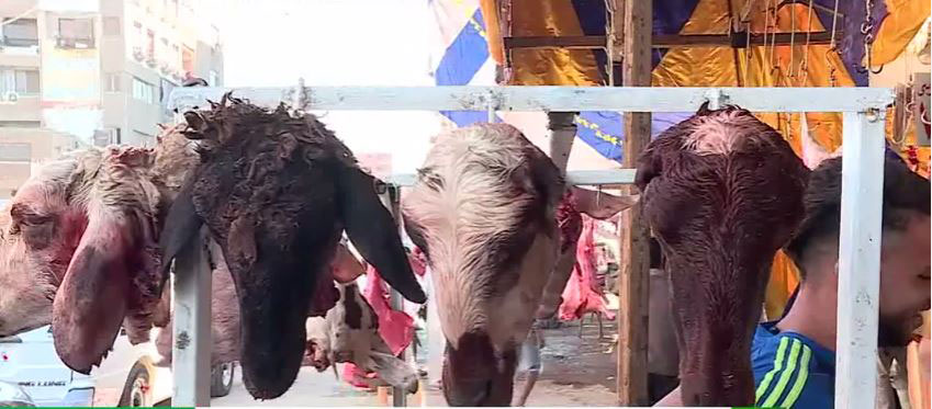 له‌ میسر گۆشتی كه‌ر ده‌فرۆشرێت