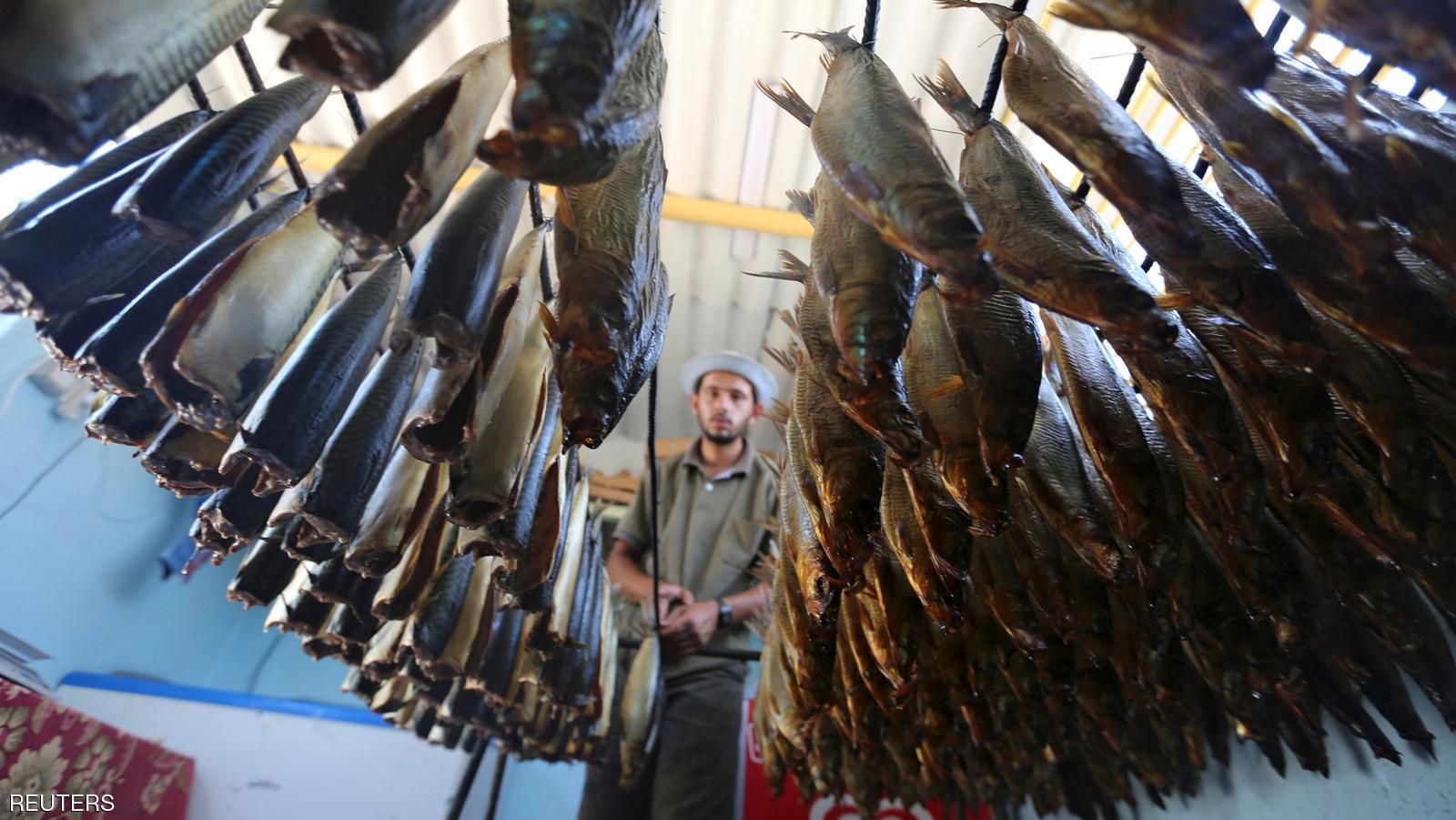 الرنجة في مدينة غزة 