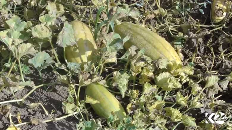 Li Bakurê Kurdistanê hilanîna gundorên meşedî 