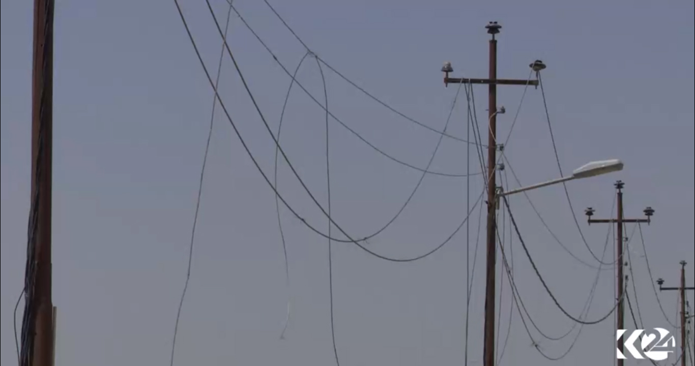 بالصور.. الحياة تدب مجددا في الكوير عقب تحريرها