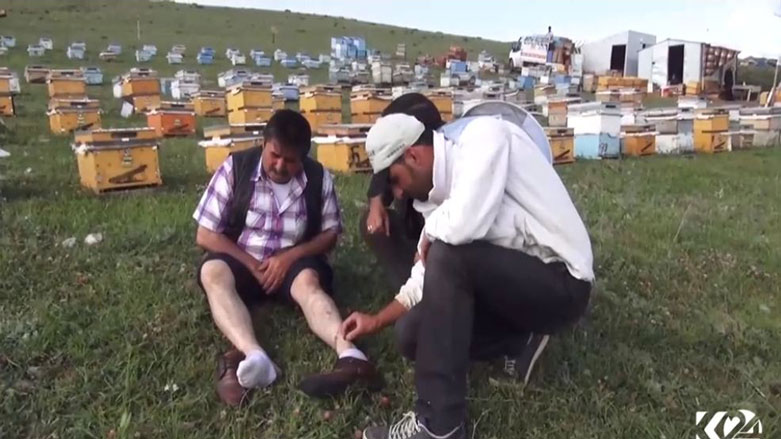Li Agirê, jehr a mêş a hingivê wek derman bikar dihînin