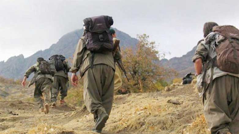 Li Dêrsimê termê 5 endamên PKK hatine dîtin