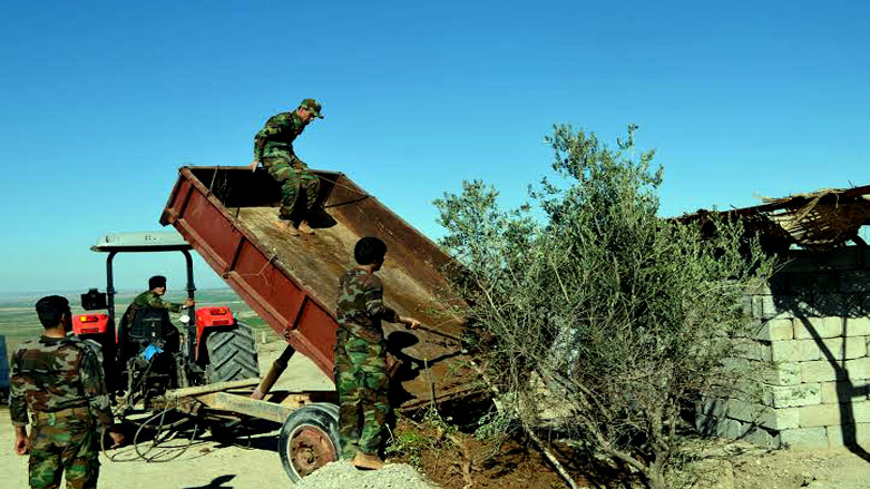 به‌وێنه‌.. بۆ خوێنى هه‌ر پێشمه‌رگه‌یه‌ك دارێك دەچێنرێت