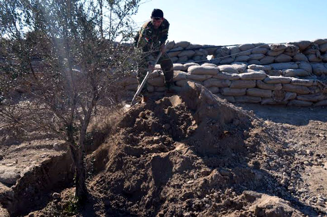 به‌وێنه‌.. بۆ خوێنى هه‌ر پێشمه‌رگه‌یه‌ك دارێك دەچێنرێت