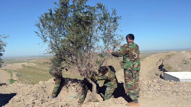 به‌وێنه‌.. بۆ خوێنى هه‌ر پێشمه‌رگه‌یه‌ك دارێك دەچێنرێت