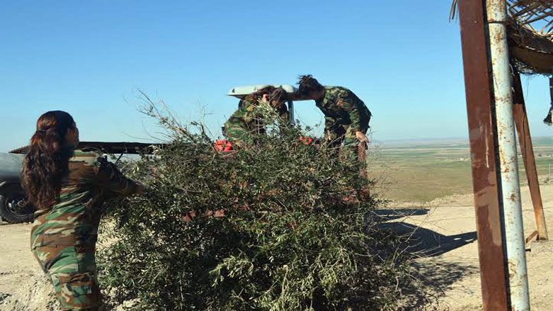 به‌وێنه‌.. بۆ خوێنى هه‌ر پێشمه‌رگه‌یه‌ك دارێك دەچێنرێت