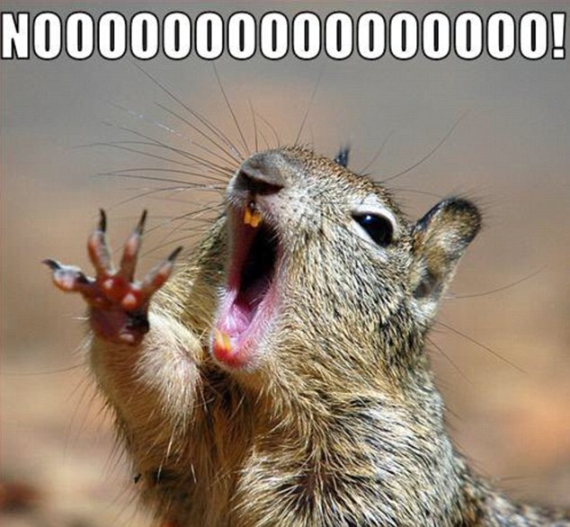 بالصور.. بريطانيون بعد طلاق اوروبا: حرائق في لندن