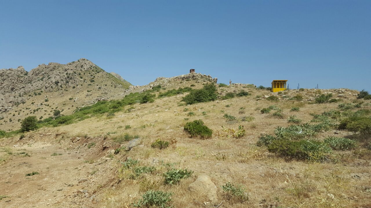 خورماڵ: خاڵی سنووری  مڵه‌خورد كرایه‌وه‌