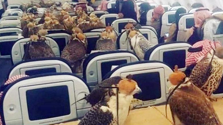 به‌ ڤیدیۆ.. ئه‌میرێكی سعوودی 80 تكيتى فڕۆكه‌ بۆ هه‌ڵۆكانی ده‌بڕێت