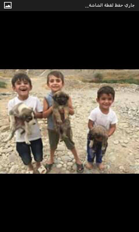 بە وێنە... لە رووداوێكی ھاتووچۆ 7 كەس گیانیان لە دەستدا