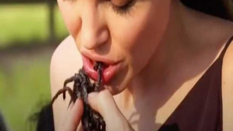 دووپشك و جاڵجاڵۆكه‌ ده‌رخواردی منداڵه‌كانی ده‌دات