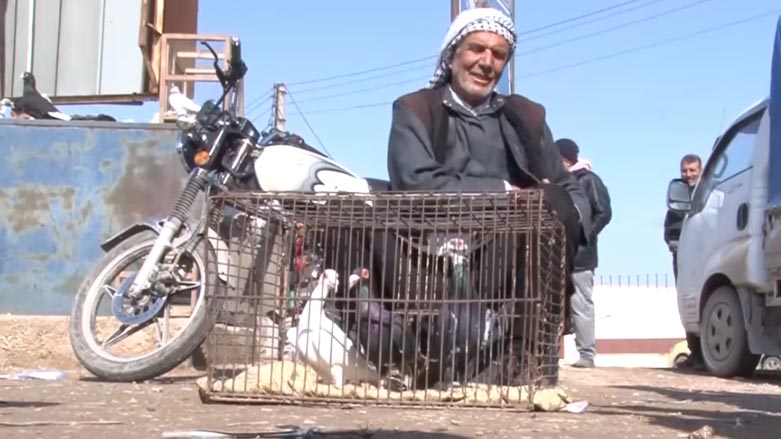 بازاڕی كڕین و فرۆشتنی باڵندە جمه‌ی دێ