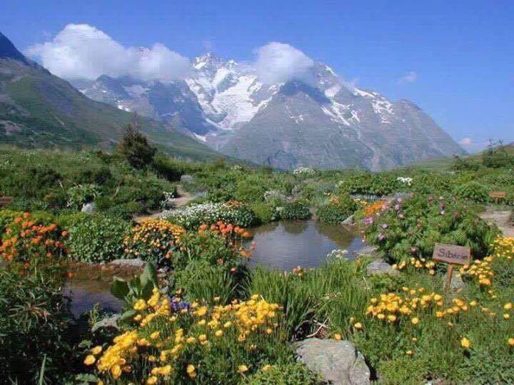 چیك هاوكاری پرۆژه‌ی ناشناڵ پاركی هه‌ڵگورد – سه‌كران ده‌كات