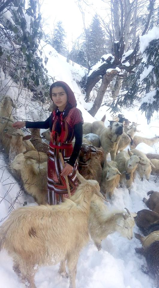 كچە شوانێك بزن و كاركەكەی بەم شێوەیە رزگار دەكات