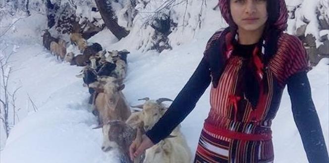 كچە شوانێك بزن و كاركەكەی بەم شێوەیە رزگار دەكات
