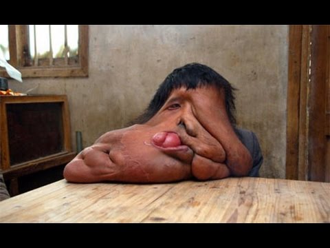 پیاوه‌ فیله‌كه‌ی چین ده‌ست به‌ ژیان ده‌كاته‌وه‌
