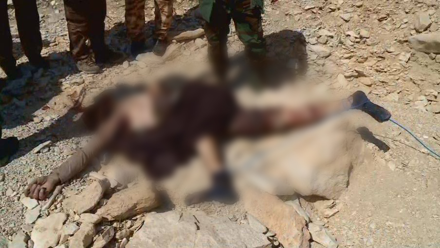 Kurdish Peshmerga forces on Tuesday morning killed six Islamic State (IS) militants in an ambush near the Shingal Cement Factory in the Ezidi-populated city of Sinjar (Shingal), Kurdistan Region, March 28, 2017. (Photo: Kurdistan24)