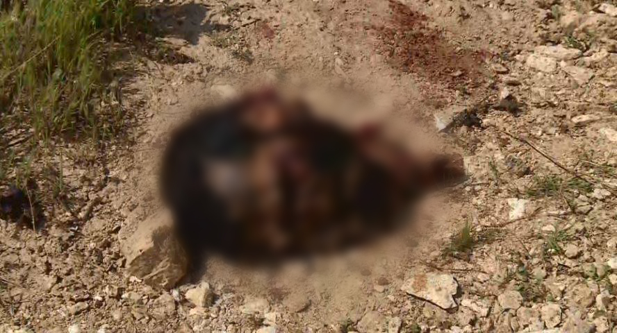 Kurdish Peshmerga forces on Tuesday morning killed six Islamic State (IS) militants in an ambush near the Shingal Cement Factory in the Ezidi-populated city of Sinjar (Shingal), Kurdistan Region, March 28, 2017. (Photo: Kurdistan24)