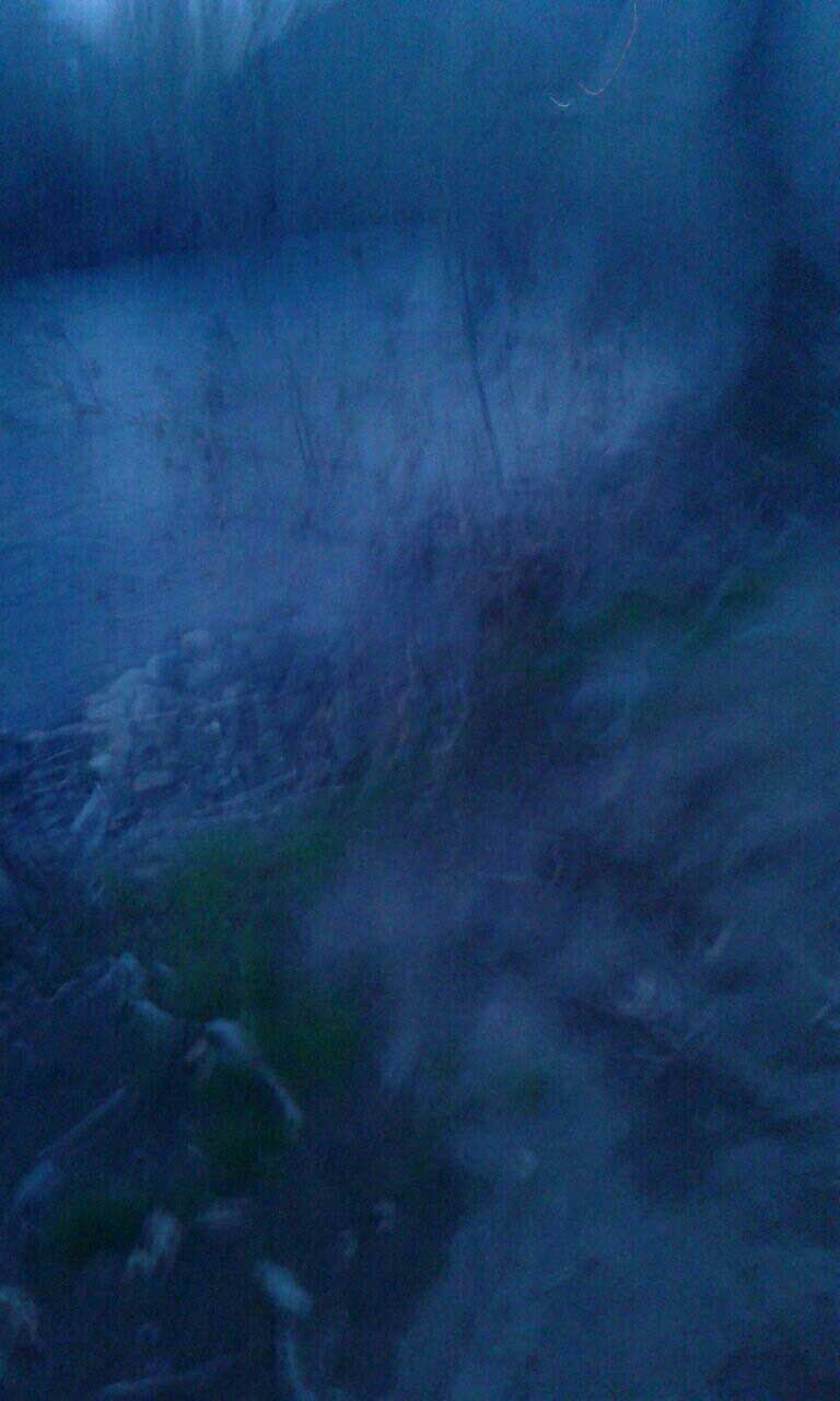 Another photo of the border area taken in the early morning by a cell phone, March 27, 2017. (Photo: Kurdistan24)