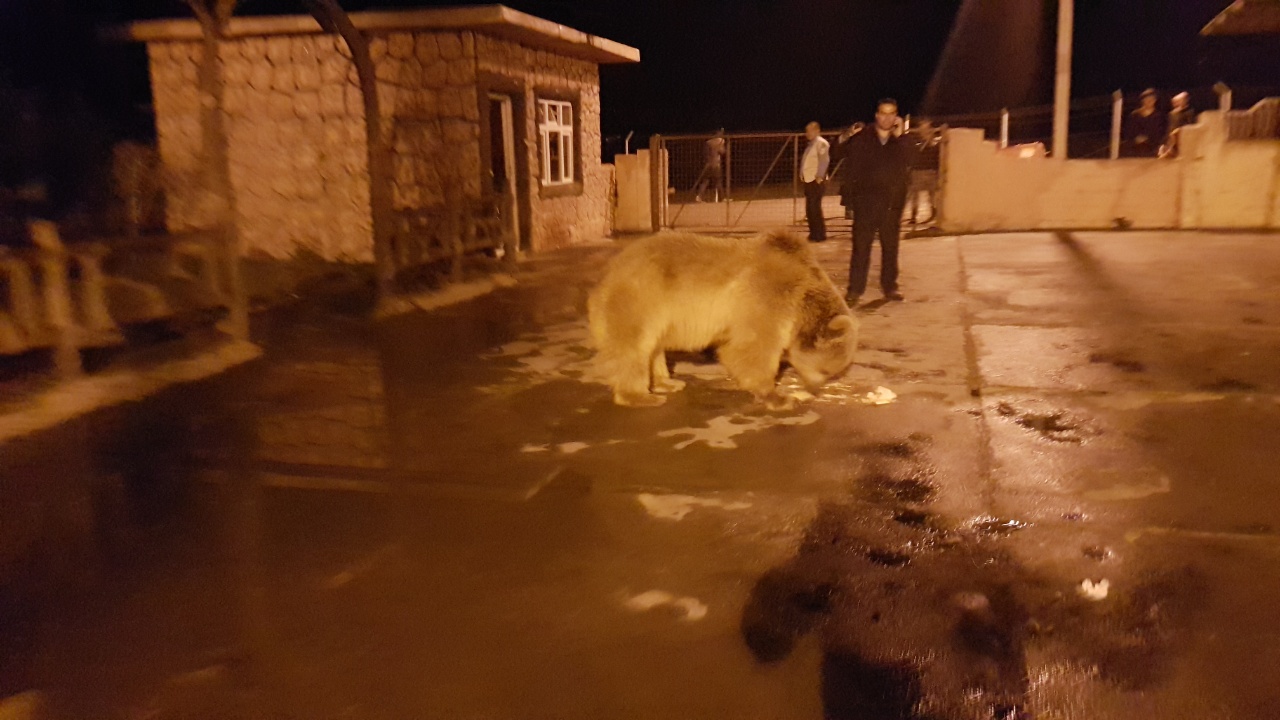 ورچه‌كه‌ی حاجی ئۆمه‌ران ده‌ستبه‌رداری ئاوه‌دانی نابێت