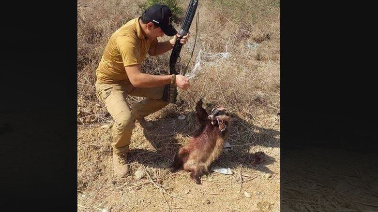 لا يقتصر الصيد على الطيور فحسب، بل يتعدى ذلك الى حيوانات اخرى - صورة من الانترنت