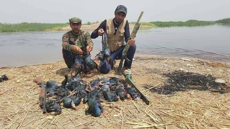 صيد طيور نادرة في الاهوار - صورة من صفحة الاهوار على فيسبوك