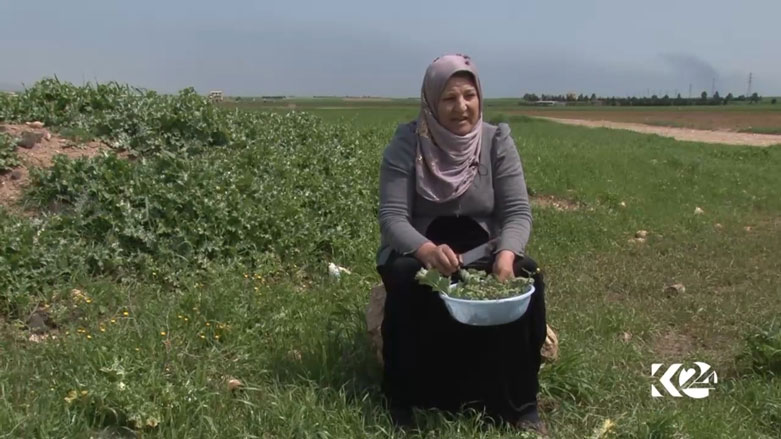 Di werzê Buharê de xwarina giyayan 