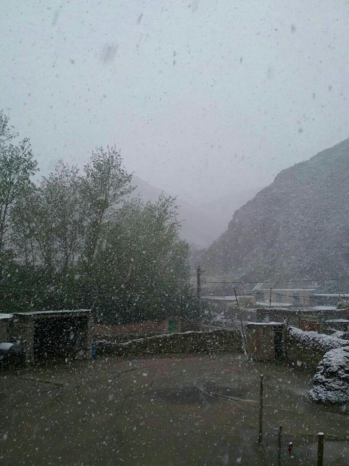 بە وێنە... لە چەند ناوچەیەكی كوردستان بەفر دەبارێت