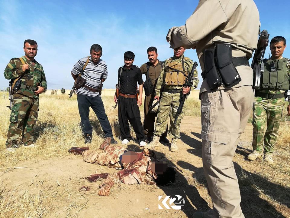 پێشمەرگە ھێرشێكی داعشی لە كەركووك تێكشكاند