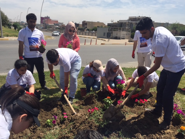 A group of volunteers planting flowers in one of the streets of Erbil.